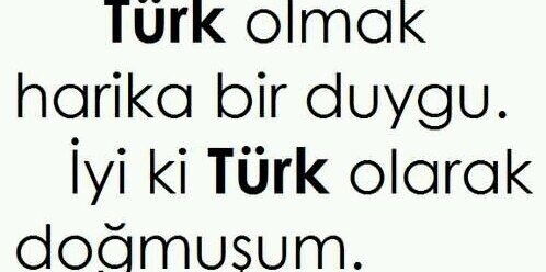 DailyTurkisboys's profile banner image