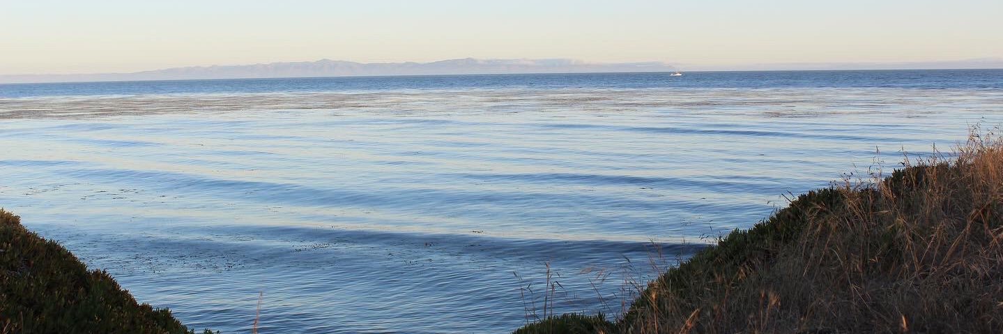 Haleigh Armstrong banner