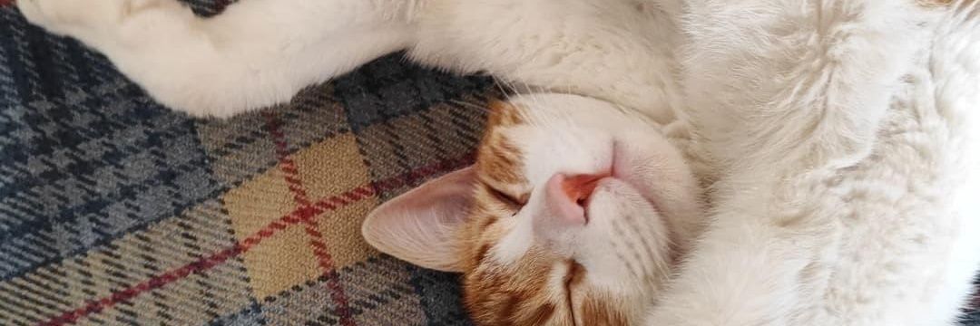 Luckmaith's profile banner image