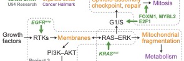 SascoVirginia Profile Banner