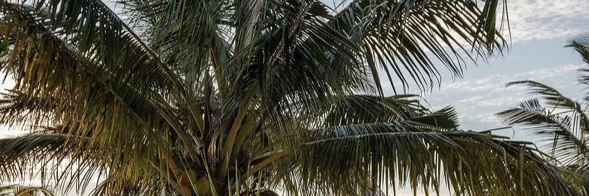 v33_escapes's profile banner image