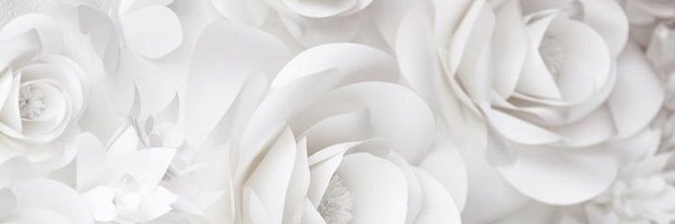 Haley banner