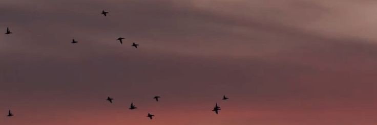 Ranashreef7's profile banner image