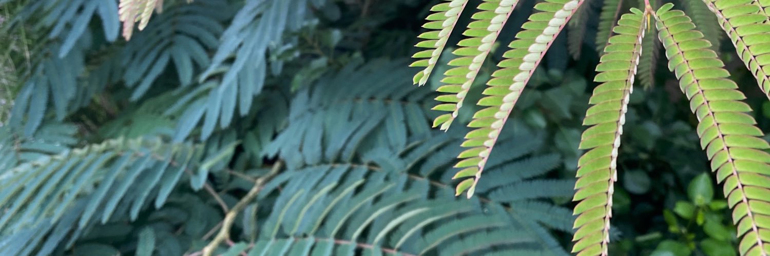 Courier Journal Guild 🐝 banner