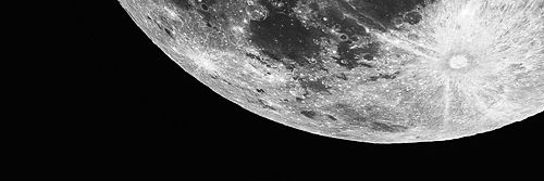 rospetals94's profile banner image