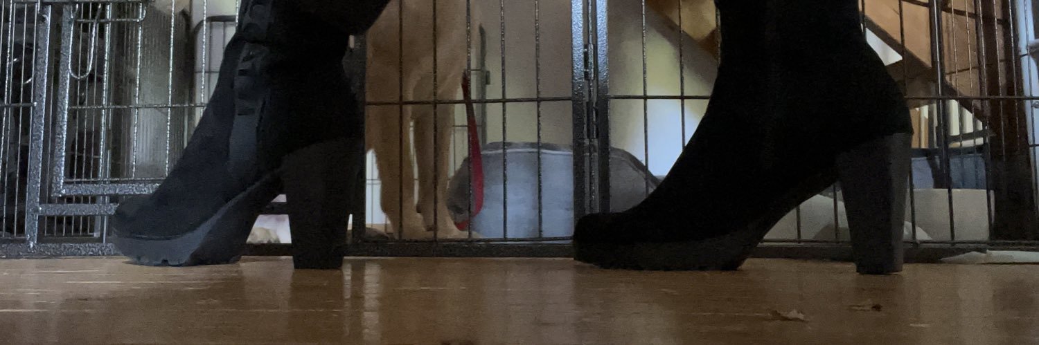piaxfeets's profile banner image