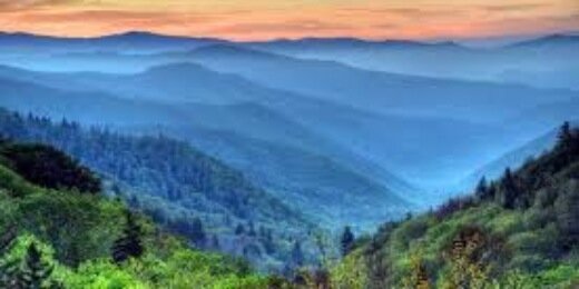 CarolinaMeatCo's profile banner image