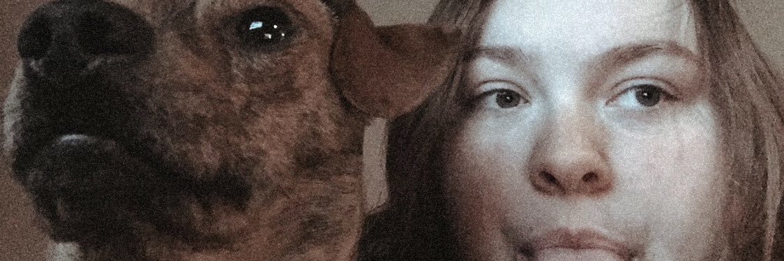 DingessVeronica's profile banner image