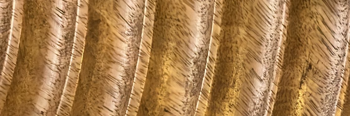 arpitamukherjee's profile banner image