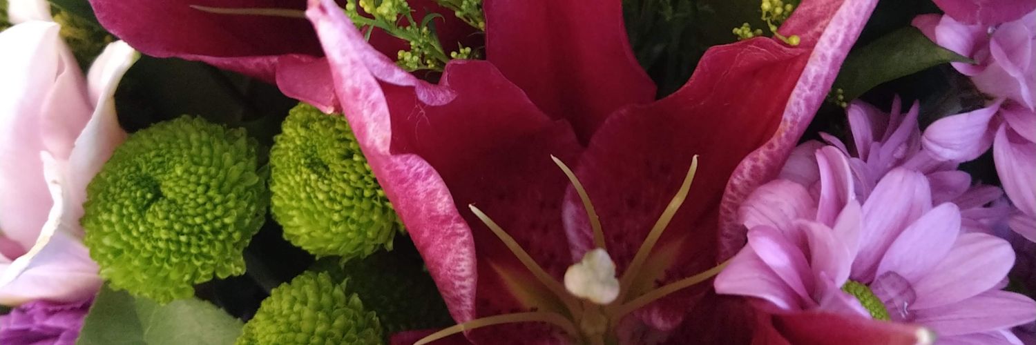 anaidsunflower's profile banner image