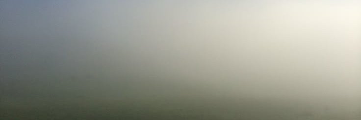 Limerencesf's profile banner image