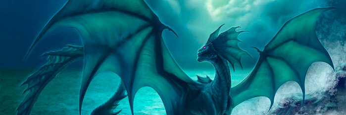 IgnoranceERC's profile banner image