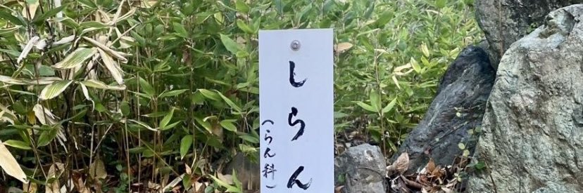 Hisataka Goto's banner