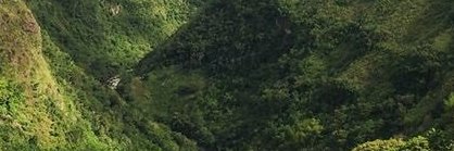 NoTranquila's profile banner image