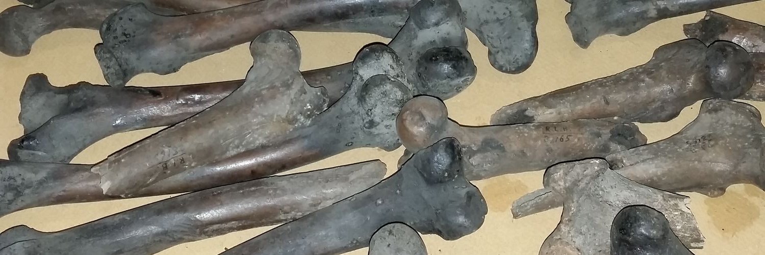 Ashley W Poust banner