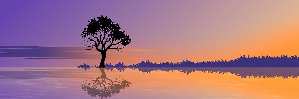 novel_Scenery's profile banner image