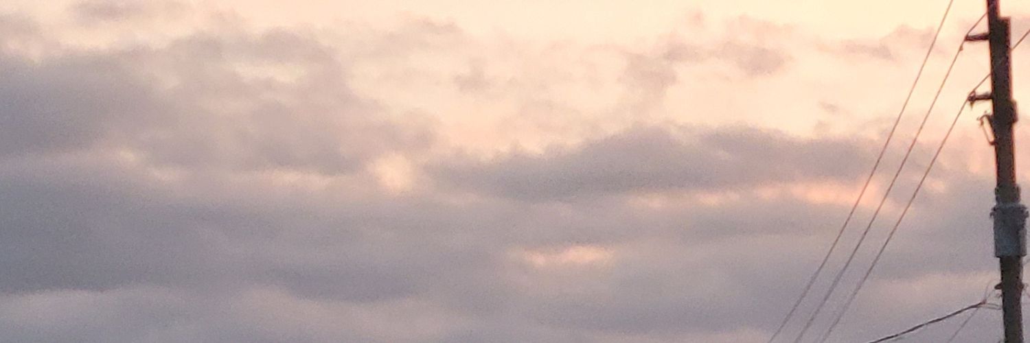 Samuel Culper sr. banner