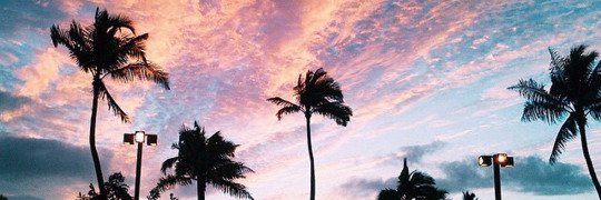 itsmoonblush_'s profile banner image