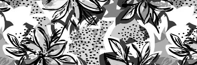 solferl's profile banner image