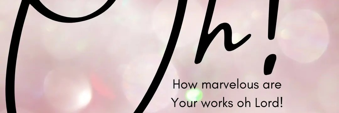 ilaxil's profile banner image
