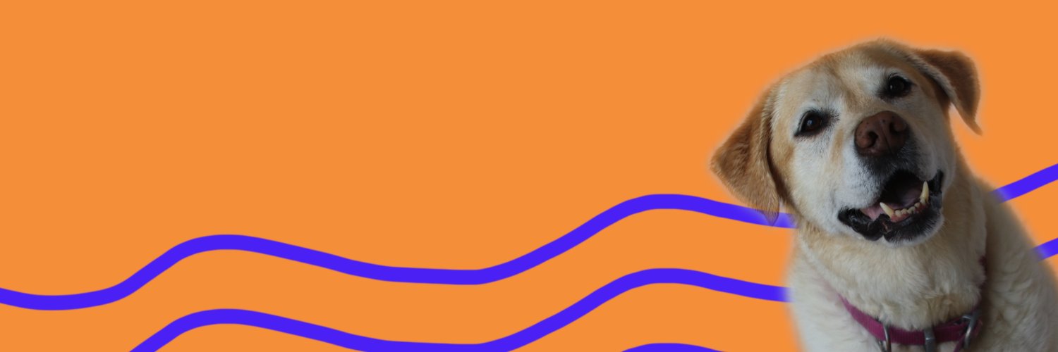 Soho Dogg banner