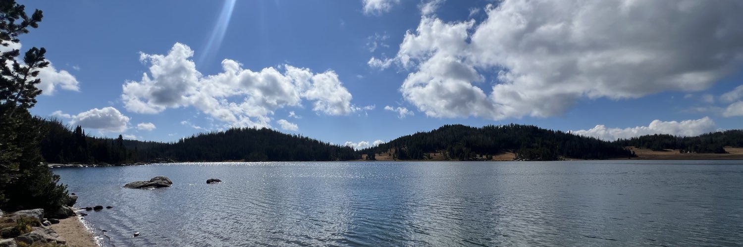 𝓦𝓲𝓵𝓵 𝓓𝓮𝓪𝓻𝓫𝓸𝓻𝓷 banner