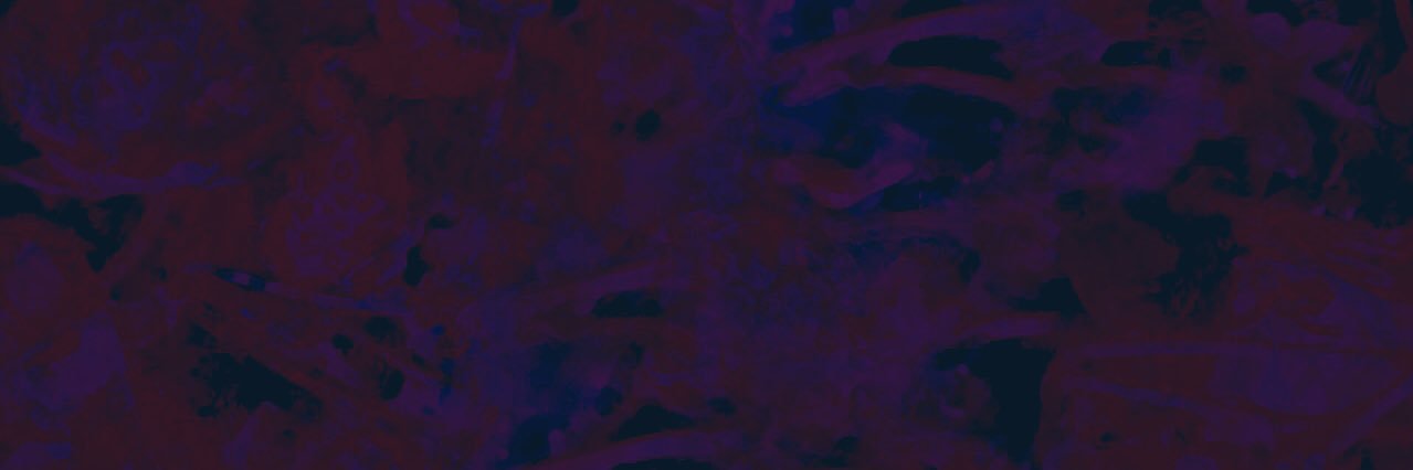 FLYGIRL's banner