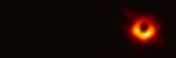 foundinals Profile Banner