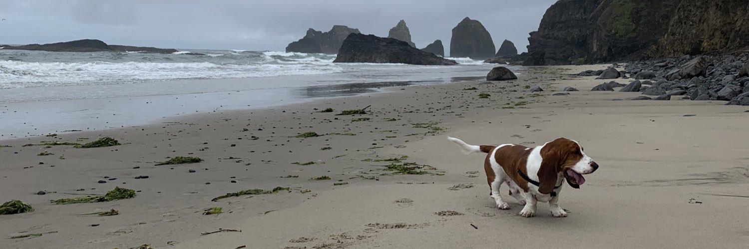 RunPR's profile banner image