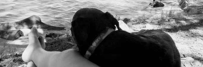 felizoola's profile banner image