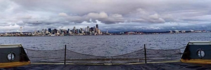 whalelvis's profile banner image