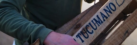 Max_Gringo_'s profile banner image