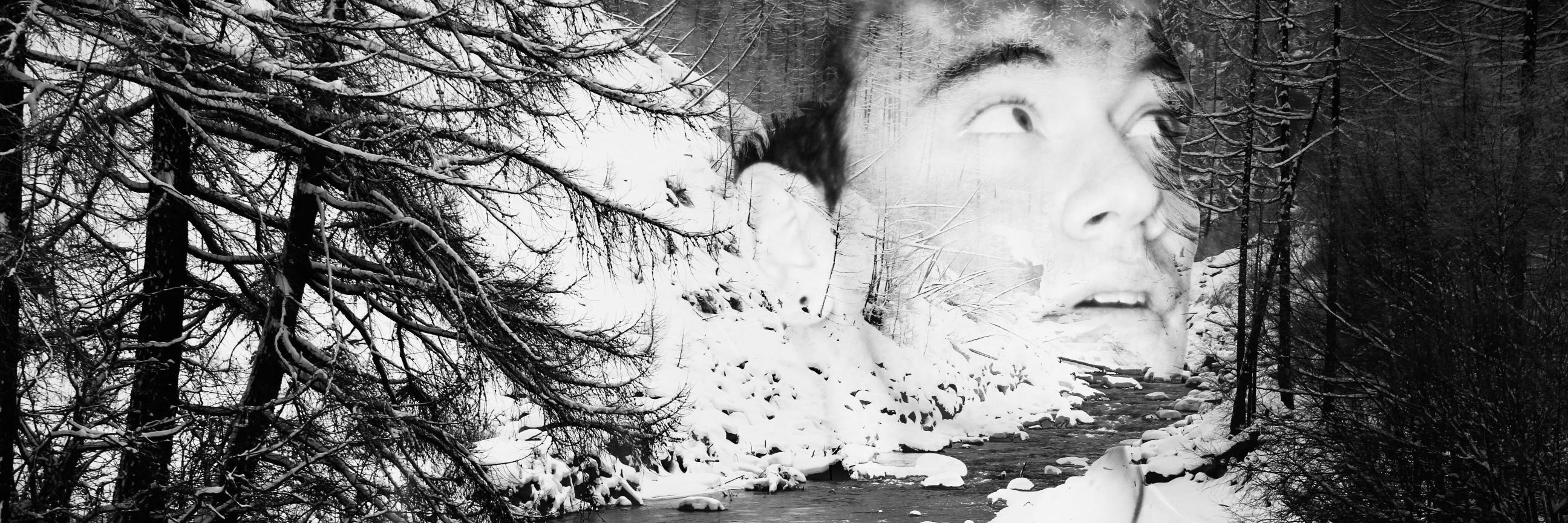 zakhollow's profile banner image