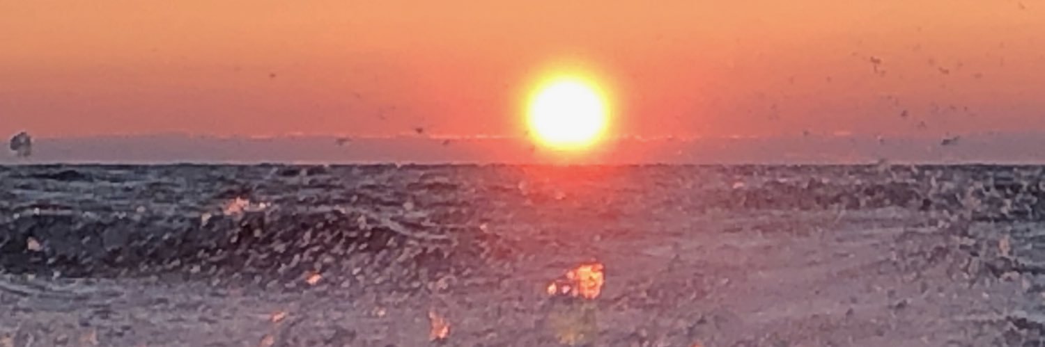h_lingier's profile banner image