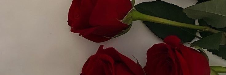 b_naaomi's profile banner image