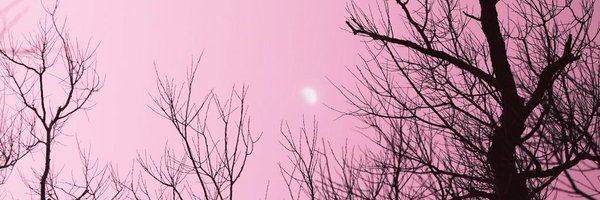 v0idoll Profile Banner