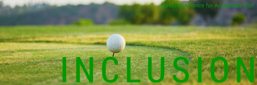 Access Golf banner