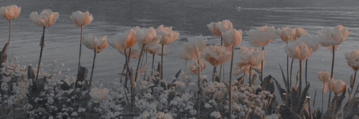 SummertmSadness's profile banner image