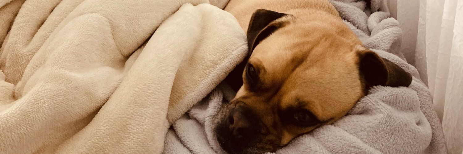 Babilzz's profile banner image