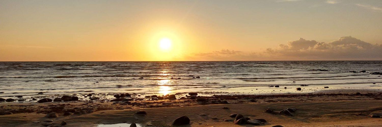 Diana Buecker banner