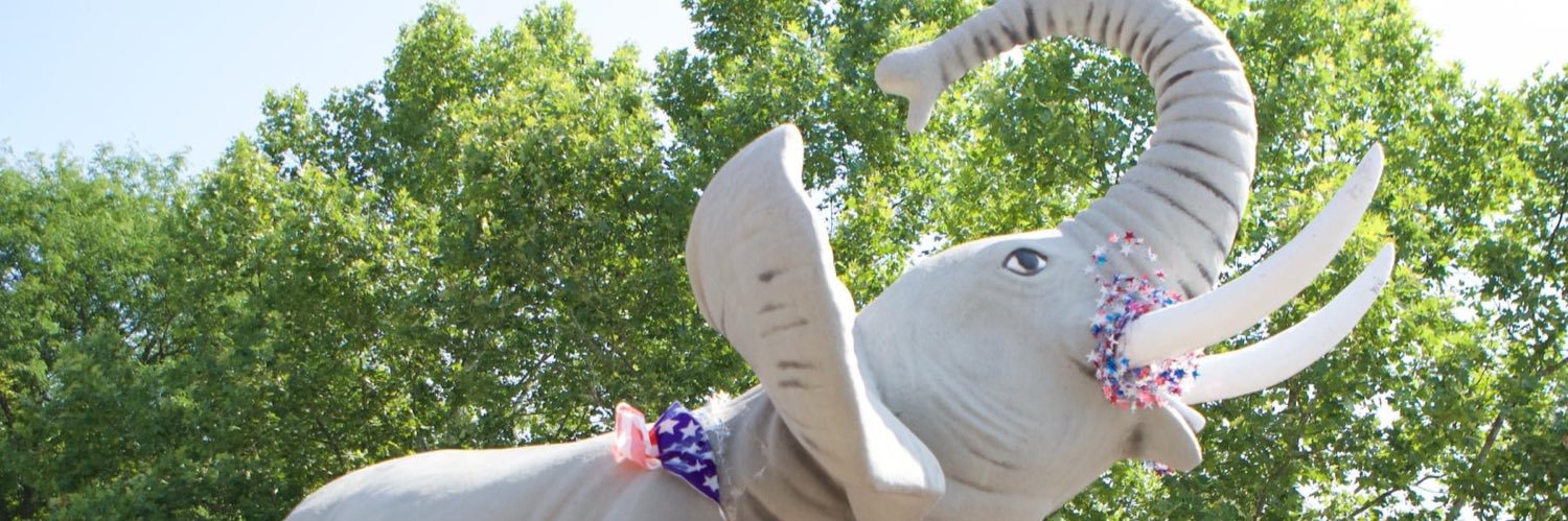 ElginRepublican's profile banner image