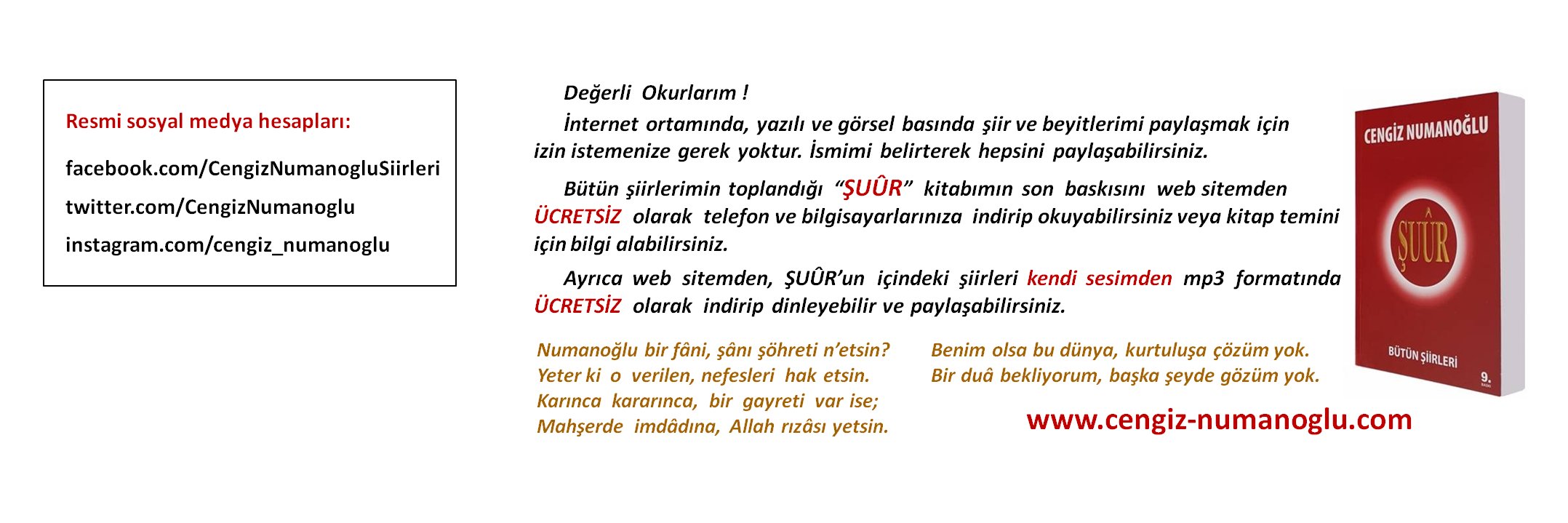 CengizNumanoglu's profile banner image