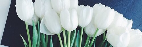 _dmjones_'s profile banner image