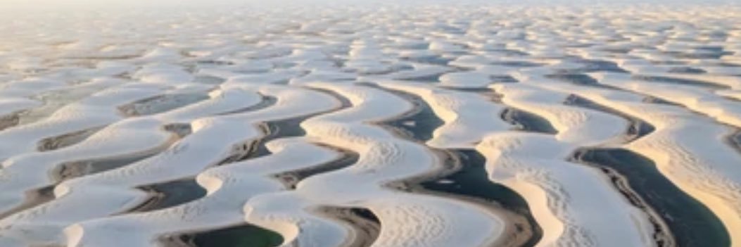 Marcos Grainger - @marcosgrainger.bsky.social🌹☮️ banner