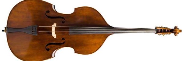 appledoublebass Profile Banner