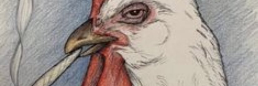 bollodramatica banner