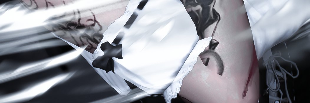 Emves banner