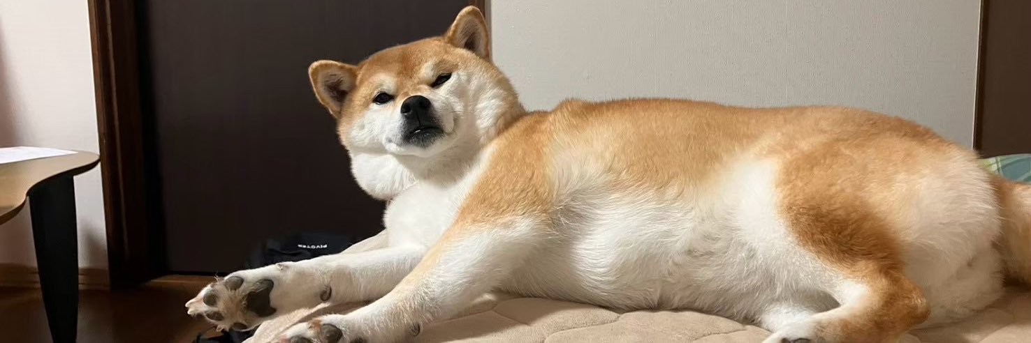 柴犬いち banner