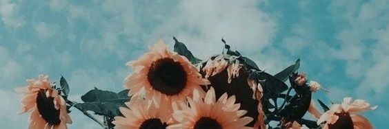 AgusCoto's profile banner image