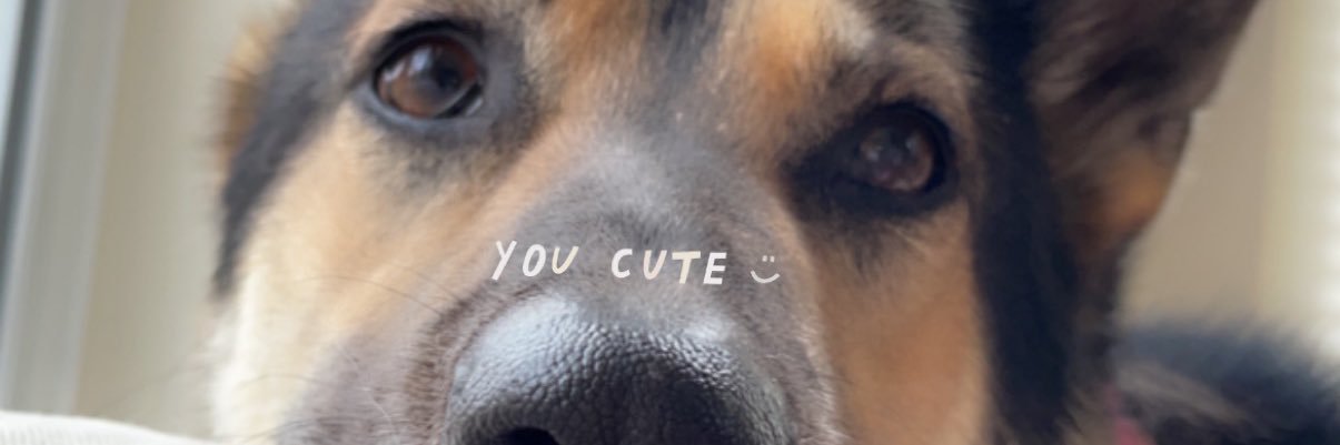 cschinto3's profile banner image